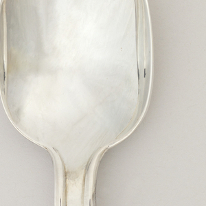 Ciga Spoon, 1979
