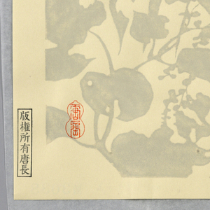 Sidewall (Japan), 1990–95