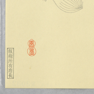 Sidewall (Japan), 1990–95