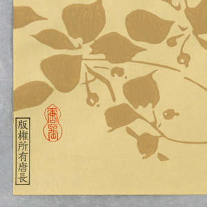 Sidewall (Japan), 1990–95