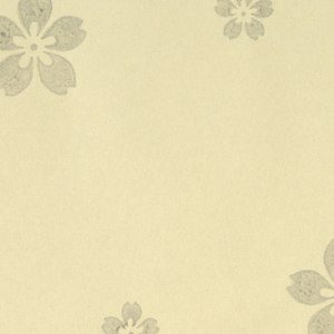 Sidewall (Japan), 1990–95