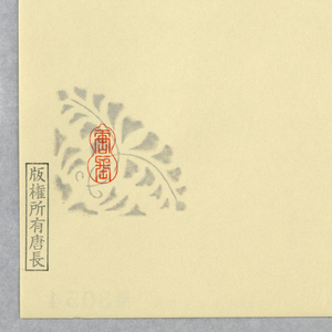 Sidewall (Japan), 1990–95