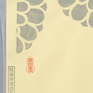 Sidewall (Japan), 1990–95