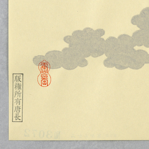 Sidewall (Japan), 1990–95