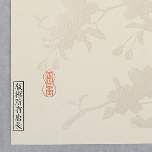 Sidewall (Japan), 1990–95
