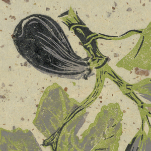 Print, 1954