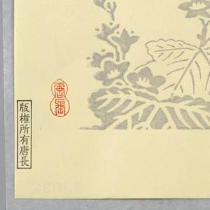 Sidewall, 1990–95