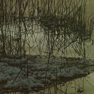 Poster, "Let It Be," Environmental Statement, 1970