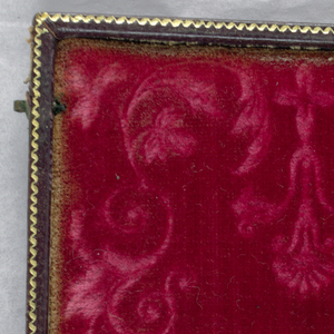 Daguerreotype (USA)