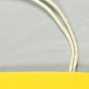 Shopping Bag, Cooper-Hewitt Museum: Tenth Anniversary Ball, 1987