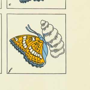 Shopping Bag, Nieman-Marcus: Metamorphosis 