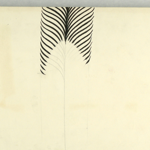 Drawing (USA)