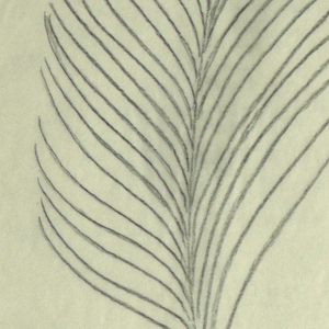Drawing (USA)