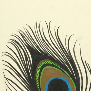 Drawing (USA)