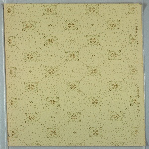Ceiling Paper (USA), 1875–1925