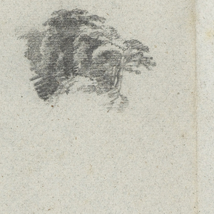Drawing, Sketches of Trees, Vines and a Bank of the Rio Magdalena, Columbia, 1853, probably May