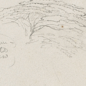 Drawing, Studies of Birds and Trees seen from the Rio Magdalena, Colombia, 1853