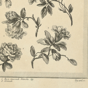 Print, Pl. 6 of 13e cahier from Oeuvres contenant un recueil de trophées, attributs, cartouches, vases, fleurs, ornemens, et plusieurs dessins agréables pour broder des fauteuils; composés et dessinés par Ranson, et gravés par Berthaut et Voysard