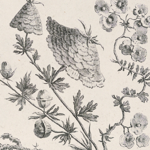Print (France)