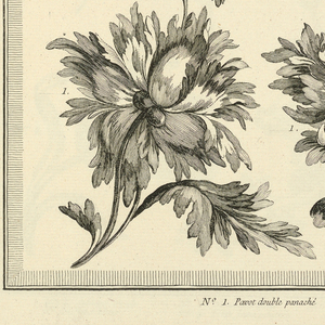Print, Pl. 5 of 11e cahier de fleurs et trophées from Oeuvres contenant un recueil de trophées, attributs, cartouches, vases, fleurs, ornemens, et plusieurs dessins agréables pour broder des fauteuils; composés et dessinés par Ranson, et gravés par Berthaut et Voysard