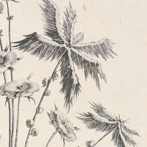 Print (France)