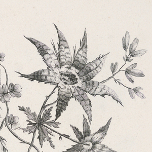Print (France)