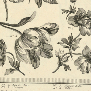 Print, Pl. 1 of 11e cahier de fleurs et trophées from Oeuvres contenant un recueil de trophées, attributs, cartouches, vases, fleurs, ornemens, et plusieurs dessins agréables pour broder des fauteuils; composés et dessinés par Ranson, et gravés par Berthaut et Voysard