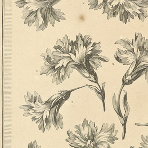 Print, Pl. 3 of 13e cahier from Oeuvres contenant un recueil de trophées, attributs, cartouches, vases, fleurs, ornemens, et plusieurs dessins agréables pour broder des fauteuils; composés et dessinés par Ranson, et gravés par Berthaut et Voysard