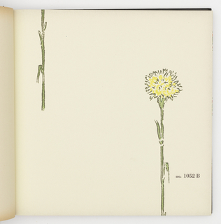 Sample Book, Attualita