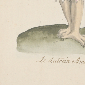Bound Print (France)