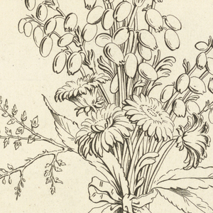 Print (France), 1736–85