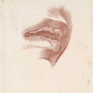 Print (France)