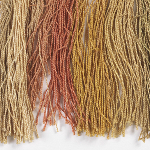 Fringe (USA), 19th century