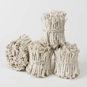 Bundle Of Ogarami Choshi, 2016