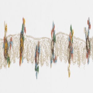 Edging (France), 19th century