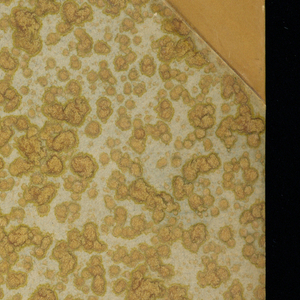 Album, Suite de vases composée dans le goût de l