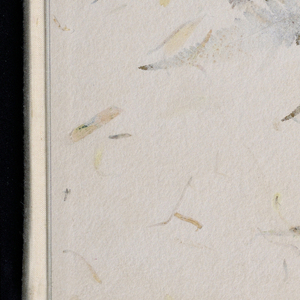 Album, Diverses/Figures Chinoises, 1703–70