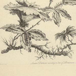 Bound Print (France)