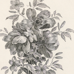 Bound Print (France)
