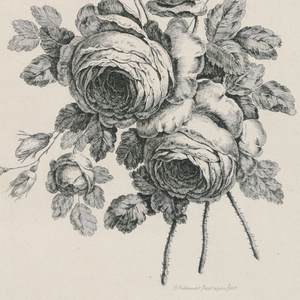 Bound Print (France)