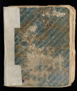 Dyer's Record Book (USA)