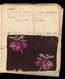 Dyer's Record Book (USA)