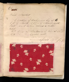 Dyer's Record Book (USA)
