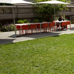Benches, Copabananas, 2016