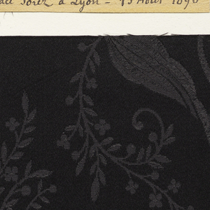 Sample (France), 1904
