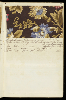 Dyer's Record Book (USA)