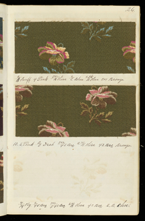Dyer's Record Book (USA)