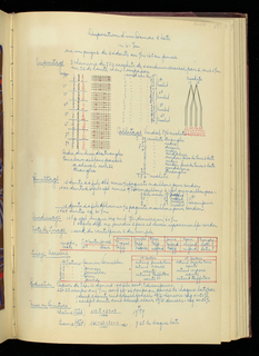 Weaver's Thesis Book (France)