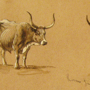 Drawing, Oxcarts, Rome, Italy, January 1873