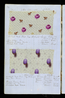 Dyer's Record Book (USA)